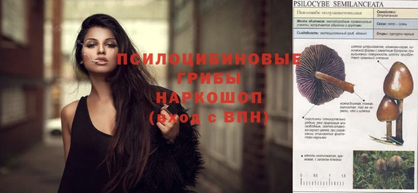 гидропоника Алзамай