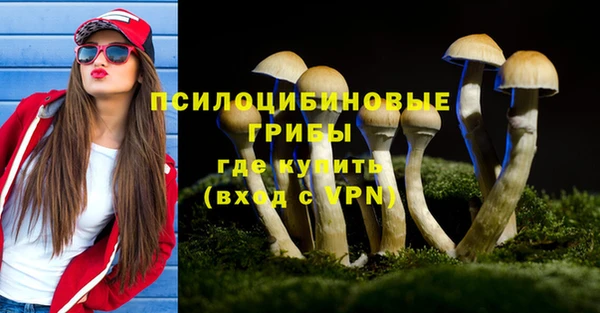 гидропоника Алзамай