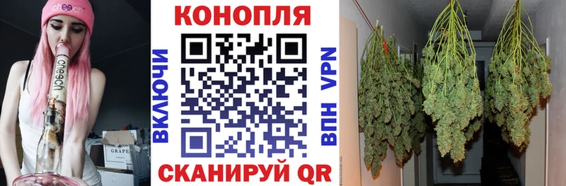 Бошки Шишки Amnesia  Микунь 